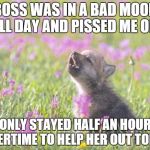 Baby insanity wolf | BOSS WAS IN A BAD MOOD ALL DAY AND PISSED ME OFF ONLY STAYED HALF AN HOUR OVERTIME TO HELP HER OUT TODAY | image tagged in baby insanity wolf | made w/ Imgflip meme maker