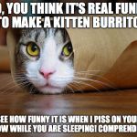 kitten wrap | SO, YOU THINK IT'S REAL FUNNY TO MAKE A KITTEN BURRITO! SEE HOW FUNNY IT IS WHEN I PISS ON YOUR PILLOW WHILE YOU ARE SLEEPING! COMPRENDE ESE | image tagged in kitten wrap | made w/ Imgflip meme maker