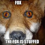 stuffed fox | FOX THE FOX IS STUFFED | image tagged in fox,stuffed | made w/ Imgflip meme maker