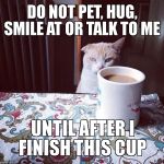 Not a (morning) person | DO NOT PET, HUG, SMILE AT OR TALK TO ME UNTIL AFTER I FINISH THIS CUP | image tagged in cat doesn't like this coffee | made w/ Imgflip meme maker
