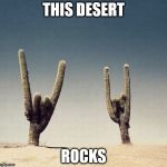 Cactii | THIS DESERT ROCKS | image tagged in cactii | made w/ Imgflip meme maker
