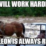 horse | I WILL WORK HARDER NAPOLEON IS ALWAYS RIGHT... | image tagged in horse | made w/ Imgflip meme maker