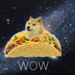 Space doge