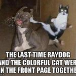 Cats and Dogs...the battle never ends | THE LAST TIME RAYDOG AND THE COLORFUL CAT WERE ON THE FRONT PAGE TOGETHER | image tagged in cat kicking dog,raydog,the colorful cat,funny,front page,animals | made w/ Imgflip meme maker