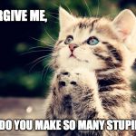 Kitty's Prayer | LORD FORGIVE ME, BUT WHY DO YOU MAKE SO MANY STUPID PEOPLE? | image tagged in kitten,cute kittens,prayer,stupid people | made w/ Imgflip meme maker