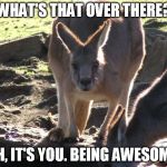 I See Roo | WHAT'S THAT OVER THERE? OH, IT'S YOU. BEING AWESOME. | image tagged in hey you roo,awesome,support,positive,kangaroo,just looking | made w/ Imgflip meme maker