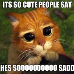 catshrek | ITS SO CUTE PEOPLE SAY BUT HES SOOOOOOOOOO SADDDDD | image tagged in catshrek | made w/ Imgflip meme maker