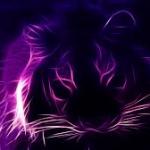purple tiger meme