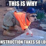 Construction dog | THIS IS WHY CONSTRUCTION TAKES SO LONG | image tagged in construction dog | made w/ Imgflip meme maker