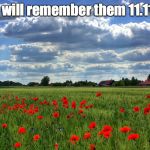 Remembrance | We will remember them11.11.11. | image tagged in remembrance | made w/ Imgflip meme maker