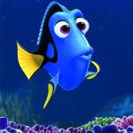 dory