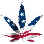 USA weed