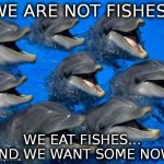 dolphins | WE ARE NOT FISHES! WE EAT FISHES... AND WE WANT SOME NOW! | image tagged in dolphins | made w/ Imgflip meme maker