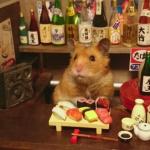 Hamster_Sushi
