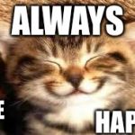 Always be happy and like this meme.Comment about the funniest jokes you know... | ALWAYS BE HAPPY | image tagged in happy cat | made w/ Imgflip meme maker