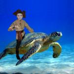 It's a sea turtle, not a seat turtle