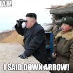 Red, not green!  RRREEEEDDDD! | WHAT! I SAID DOWN ARROW! | image tagged in kim jon binoculars,kim jong il,downvote fairy | made w/ Imgflip meme maker