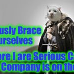Serious Cat Meme Company.   Ask about Upvotes and Meme War Specials! | Seriously Brace Yourselves More I are Serious Cat Meme Company is on the way! | image tagged in game of thrones serious cat,memes,funny memes | made w/ Imgflip meme maker