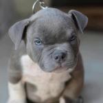 Mean Mug