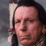 Native American Single Tear