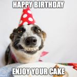 Birthday Dog Meme Generator Imgflip