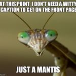 It's true these days. | AT THIS POINT, I DON'T NEED A WITTY CAPTION TO GET ON THE FRONT PAGE JUST A MANTIS | image tagged in memes,mantis | made w/ Imgflip meme maker