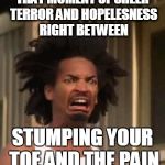 horror | THAT MOMENT OF SHEER TERROR AND HOPELESNESS RIGHT BETWEEN STUMPING YOUR TOE AND THE PAIN | image tagged in horror | made w/ Imgflip meme maker
