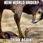 Eagle and Snake | NEW WORLD ORDER? THINK AGAIN! | image tagged in eagle and snake | made w/ Imgflip meme maker