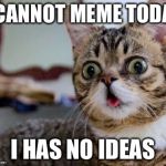 Derpy cat | I CANNOT MEME TODAY I HAS NO IDEAS | image tagged in derpy cat | made w/ Imgflip meme maker