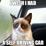 Introspective Grumpy Cat | I WISH I HAD A SELF-DRIVING CAR | image tagged in introspective grumpy cat,memes,grumpy cat | made w/ Imgflip meme maker