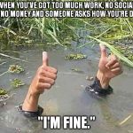 I'm fine | WHEN YOU'VE GOT TOO MUCH WORK, NO SOCIAL LIFE, NO MONEY AND SOMEONE ASKS HOW YOU'RE DOING "I'M FINE." | image tagged in i'm fine,memes,funny | made w/ Imgflip meme maker