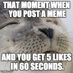 Content seal | THAT MOMENT WHEN YOU POST A MEME AND YOU GET 5 LIKES IN 60 SECONDS. | image tagged in content seal | made w/ Imgflip meme maker