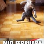 Party cat | NEW YEAR'S RESOLUTION: JANUARY MID-FEBRUARY | image tagged in party cat | made w/ Imgflip meme maker