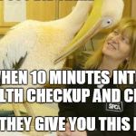 Pelican Stare | WHEN 10 MINUTES INTO HEALTH CHECKUP AND CHILL AND THEY GIVE YOU THIS LOOK | image tagged in i see what you did there pelican | made w/ Imgflip meme maker