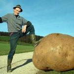 potato farmer