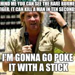 Steve Irwin | BEHIND ME YOU CAN SEE THE RARE BURMESE TIGER. IT CAN KILL A MAN IN TEN SECONDS. I'M GONNA GO POKE IT WITH A STICK | image tagged in steve irwin,memes | made w/ Imgflip meme maker