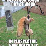 Tough Day At Work | PUTS YOUR TOUGH DAY AT WORK IN PERSPECTIVE NOW DOESN'T IT | image tagged in squirrel nuts | made w/ Imgflip meme maker