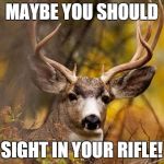 deer meme | MAYBE YOU SHOULD SIGHT IN YOUR RIFLE! | image tagged in deer meme | made w/ Imgflip meme maker