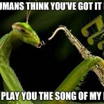 Hah. | YOU HUMANS THINK YOU'VE GOT IT HARD? LET ME PLAY YOU THE SONG OF MY PEOPLE | image tagged in mantis playing sax,memes | made w/ Imgflip meme maker