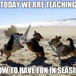 Dogs fight | TODAY WE ARE TEACHING HOW TO HAVE FUN IN SEASIDE | image tagged in dogs fight | made w/ Imgflip meme maker