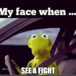 Kermit | SEE A FIGHT | image tagged in kermit | made w/ Imgflip meme maker