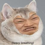 Impossibru Heavy Breathing Cat