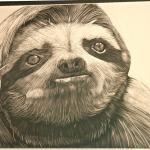 Sloths bitch