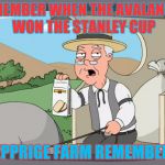 pepperige farms remembers | REMEMBER WHEN THE AVALANCHE WON THE STANLEY CUP PEPPRIGE FARM REMEMBERS | image tagged in pepperige farms remembers | made w/ Imgflip meme maker