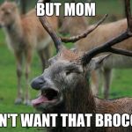 disgusted deer | BUT MOM I DON'T WANT THAT BROCCOLI | image tagged in disgusted deer | made w/ Imgflip meme maker