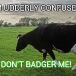 Badger Mismatch | I'M UDDERLY CONFUSED DON'T BADGER ME! | image tagged in badger mismatch | made w/ Imgflip meme maker