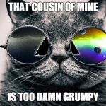 Cool Cat | THAT COUSIN OF MINE IS TOO DAMN GRUMPY | image tagged in memes,funny,cool cat,grumpy cat | made w/ Imgflip meme maker