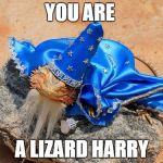 what lizards hear when they watch harry potter | YOU ARE A LIZARD HARRY | image tagged in harry potter | made w/ Imgflip meme maker
