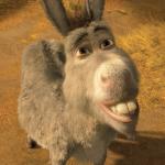 shrek donkey