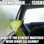 Sometimes a praying mantis has doubts, too... | I DUNNO MAN . . .  (SIGH) WHAT IF THE ATHEIST MANTISES WERE RIGHT ALL ALONG? | image tagged in introspective mantis,memes,funny,praying mantis,mantis | made w/ Imgflip meme maker